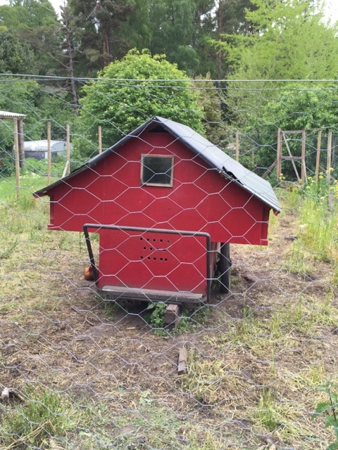 Movable Chicken Shed