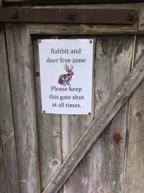 rabbit-free-zone