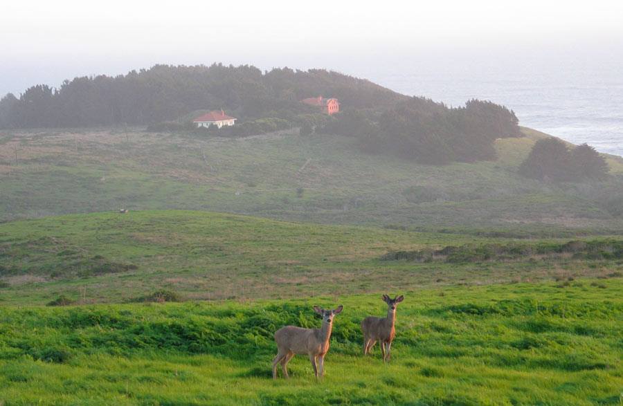 Commonweal, Northern California.