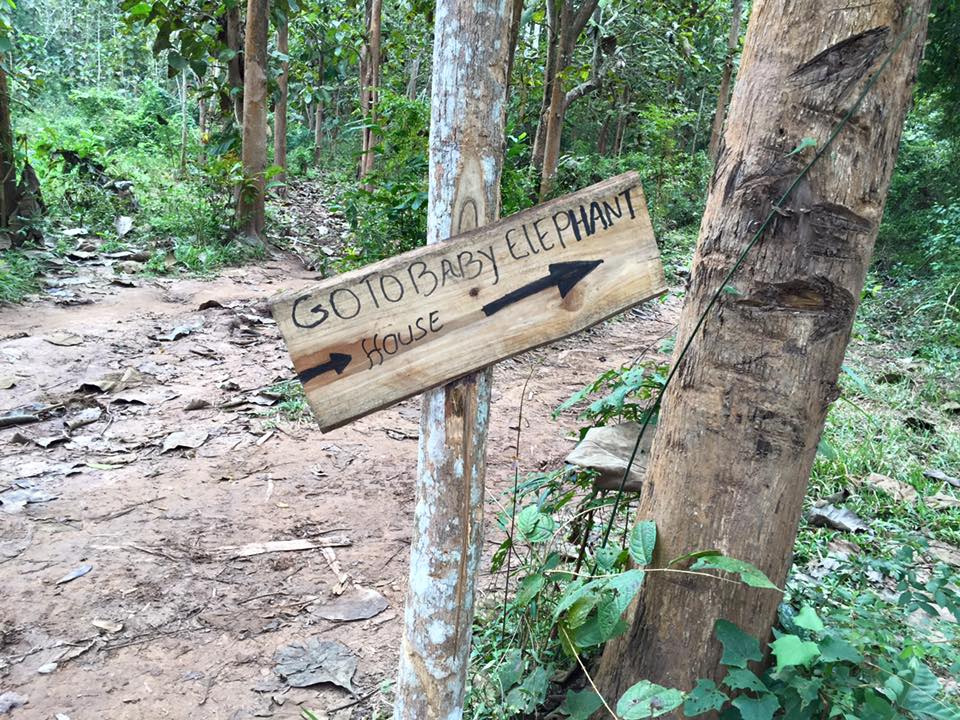 baby-elephant-house-sign