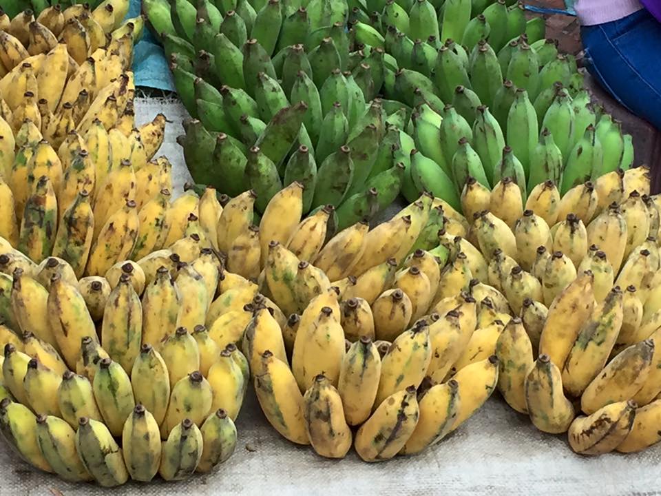 bananas