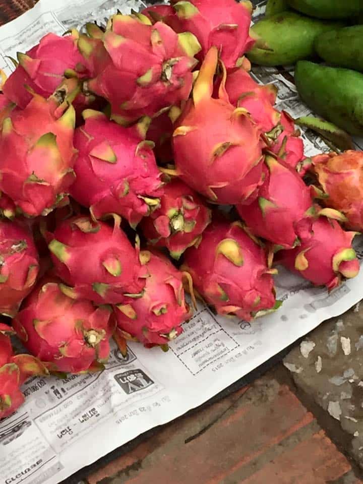 dragon-fruit