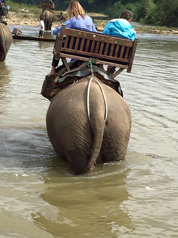 elephant-ride-river