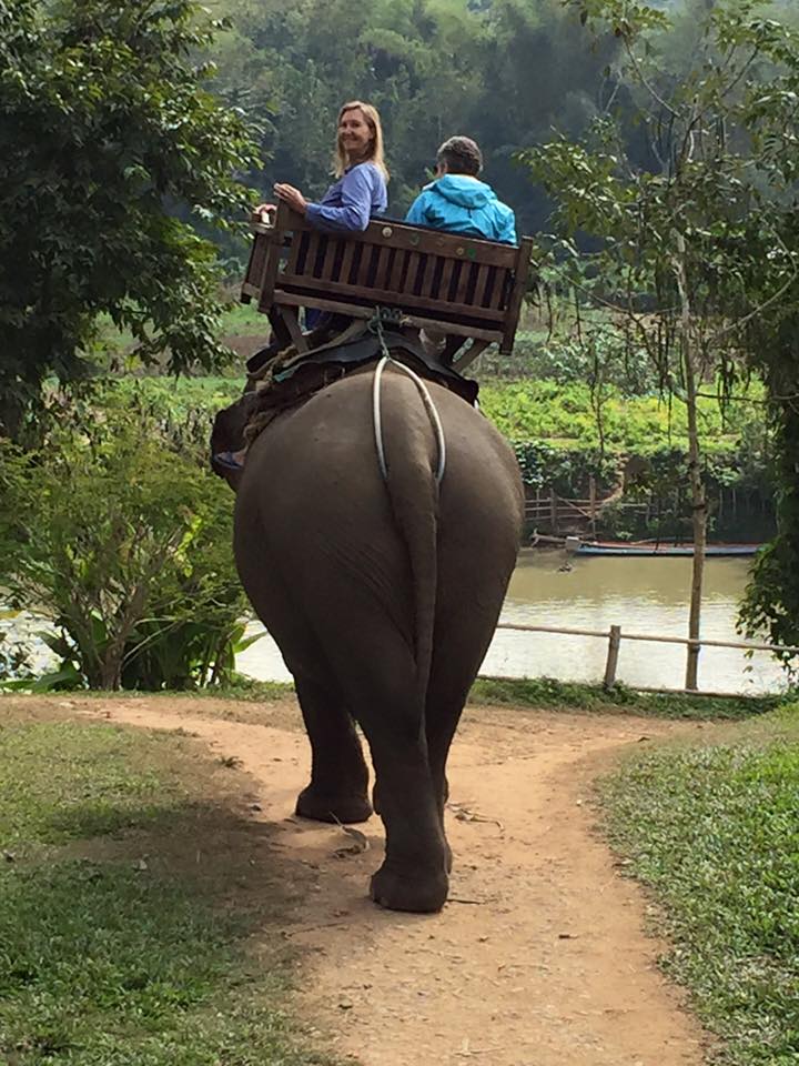 elephant-ride