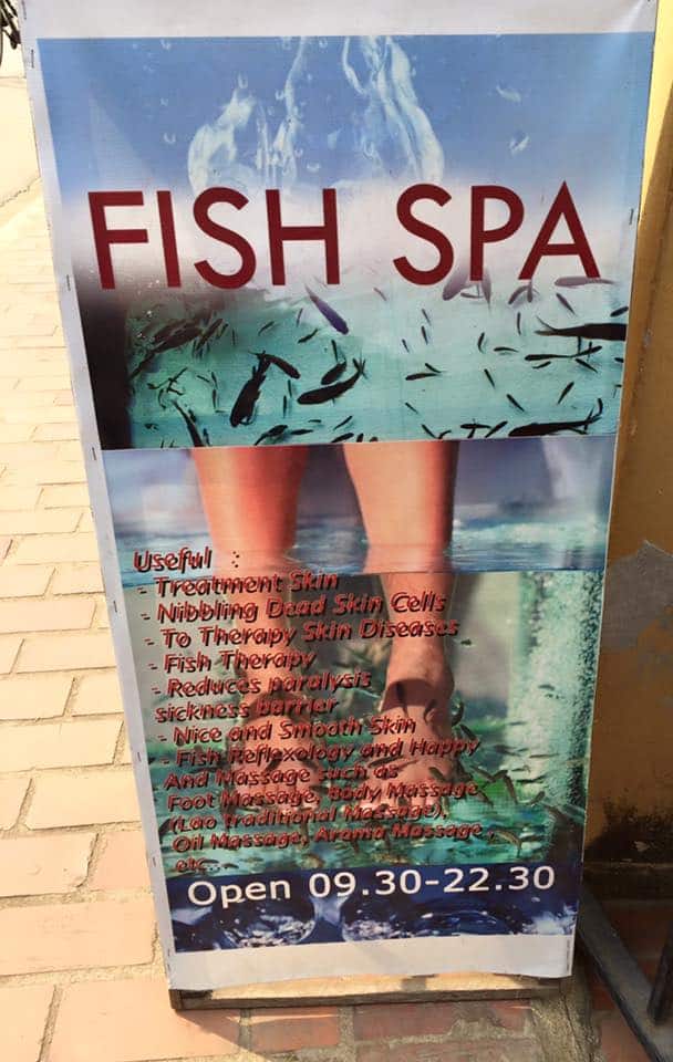 fish-eating-massage