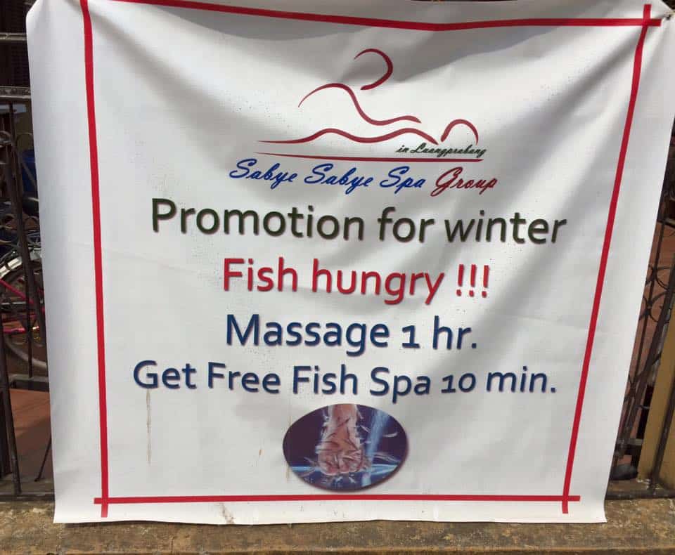 fish-massage