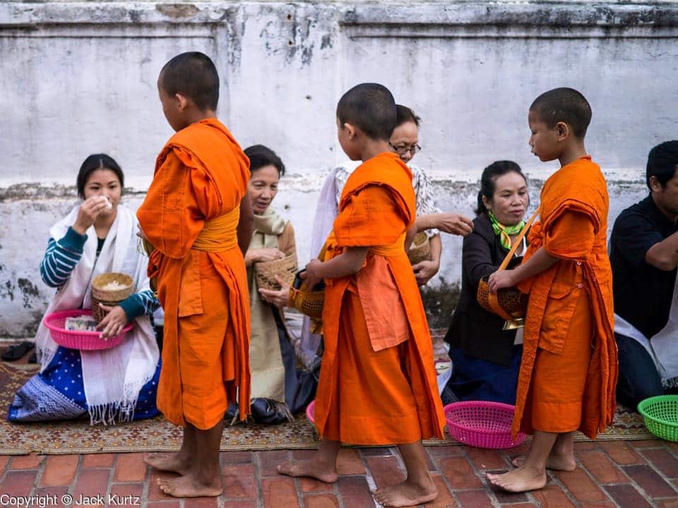 mini-monks