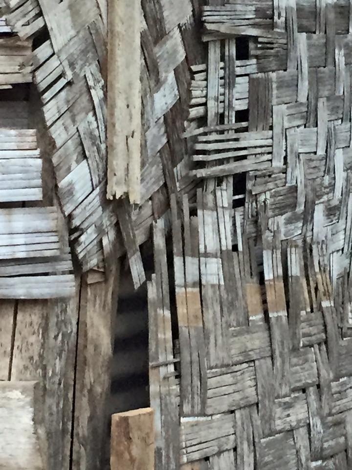 Close-up of a shed