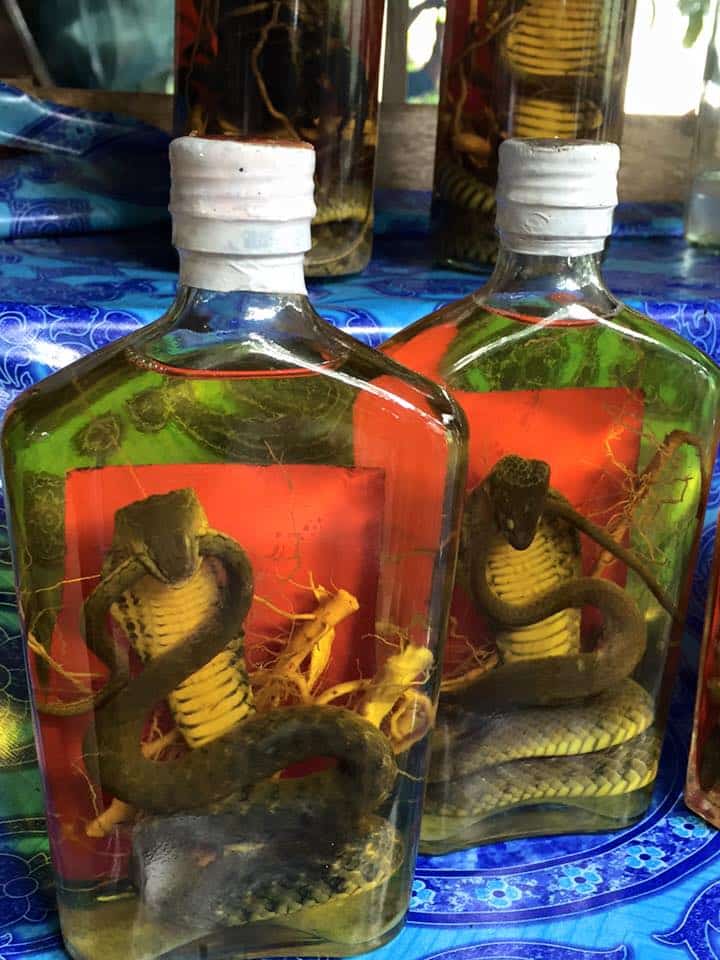 Snakes in a bottle of booze