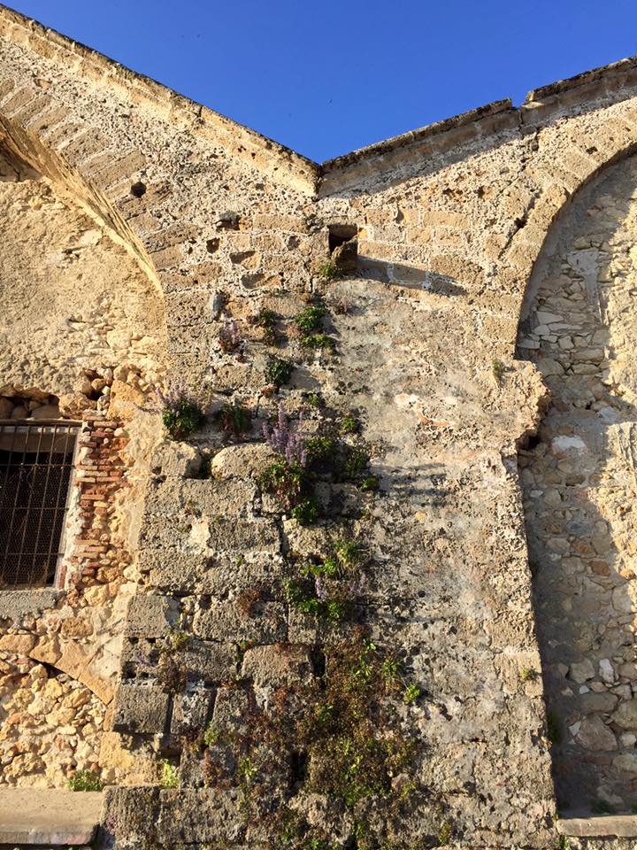 laura-davis-greece-chania-flowers-in-wall