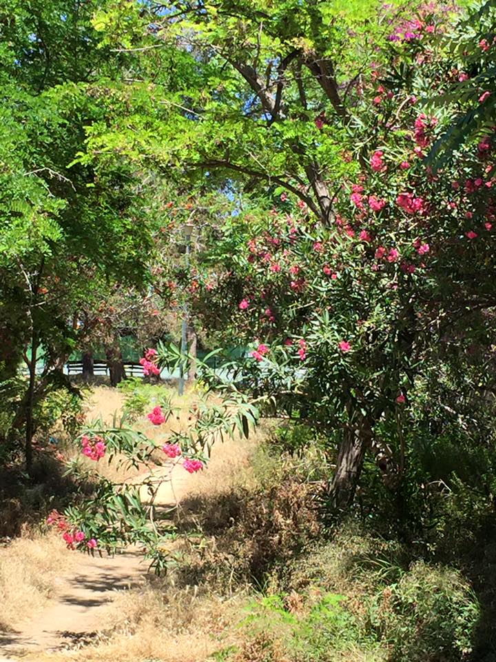 laura-davis-greece-heraklion-beautiful-path