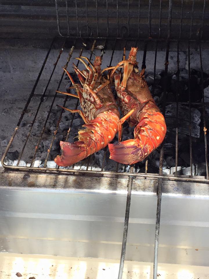 laura-davis-greece-santorini-grilling-lunch