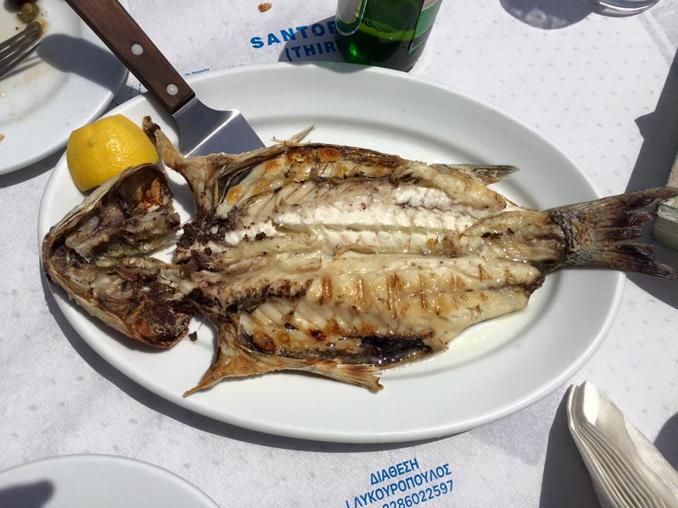 laura-davis-greece-santorini-our-lunch