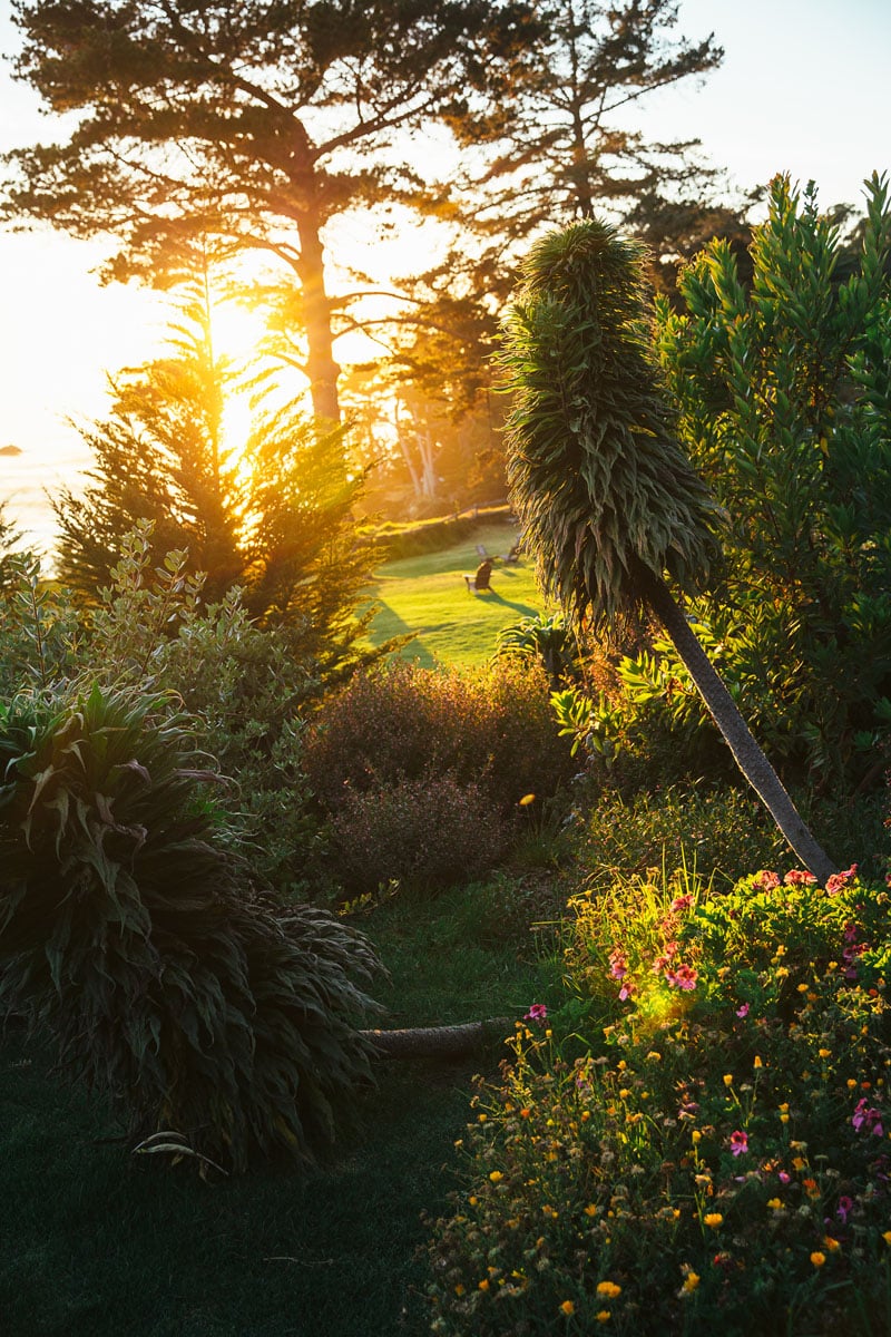 Photo courtesy of Esalen Institute. Credit: Doug Ellis