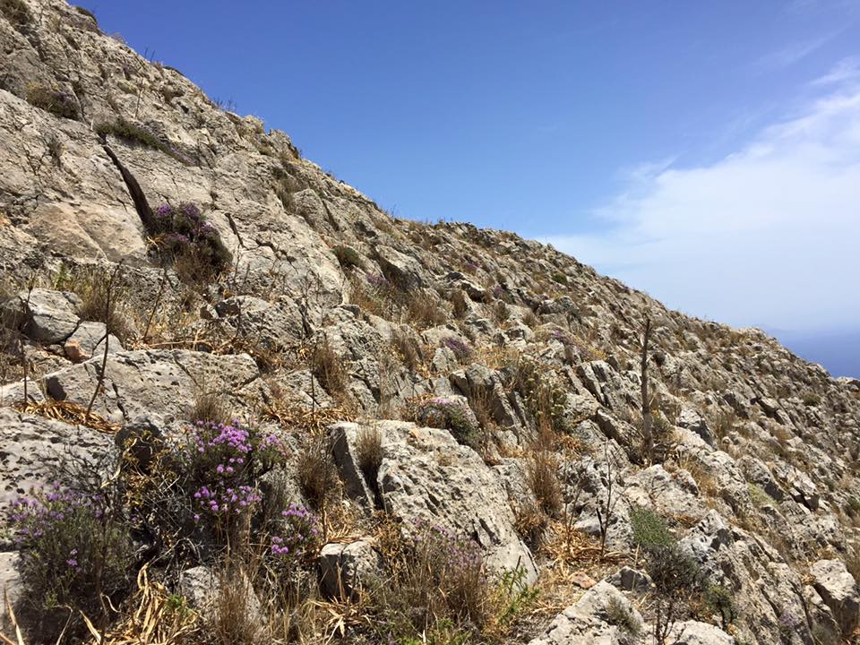 laura-davis-greece-hilltop-hike