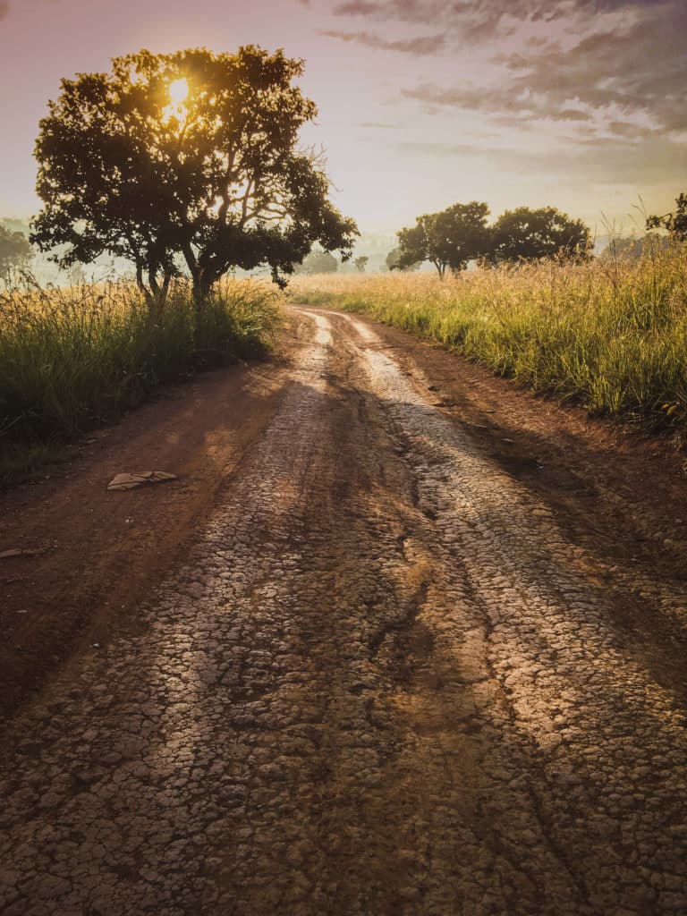Road in the field against the sunrise background with nature tree.Beautiful landscape for adventure travel.Vintage tone. Road in the field against the sunrise background with nature tree.Beautiful landscape for adventure travel.Vintage tone.