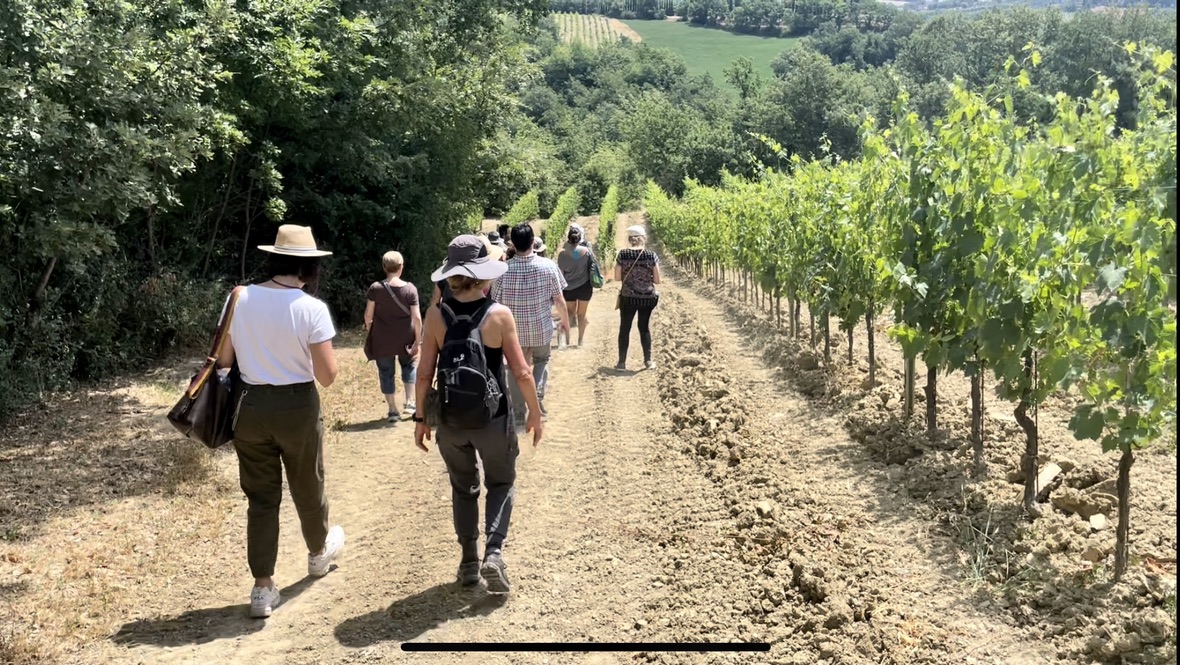 walking in the vinyard