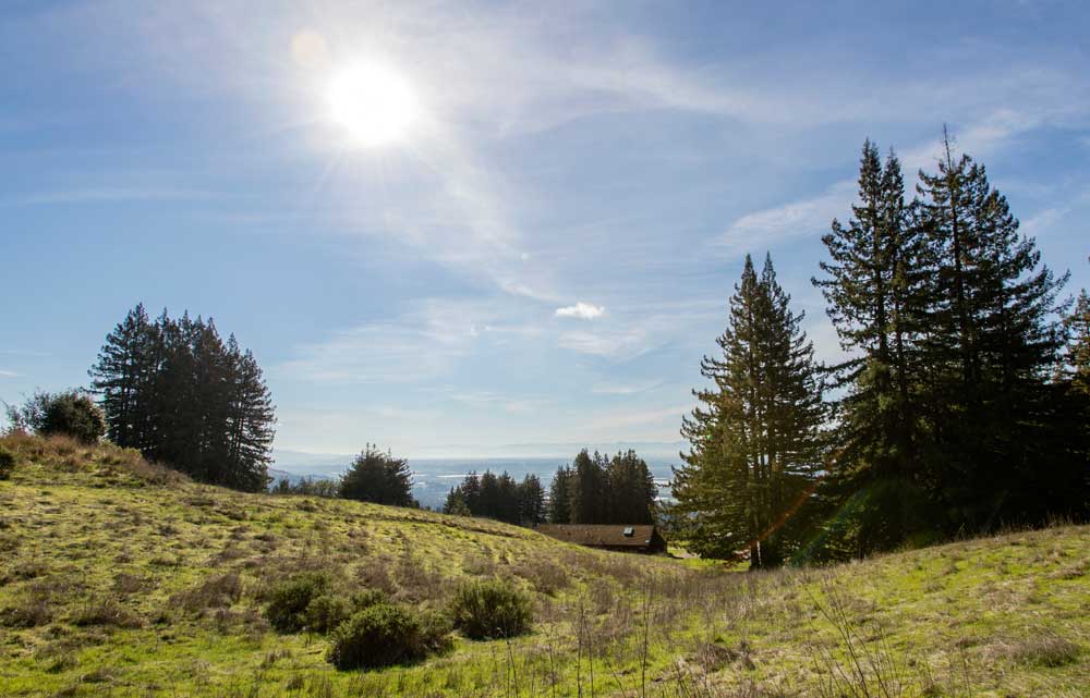 A Summer Day at Mount Madonna, Watsonville, California