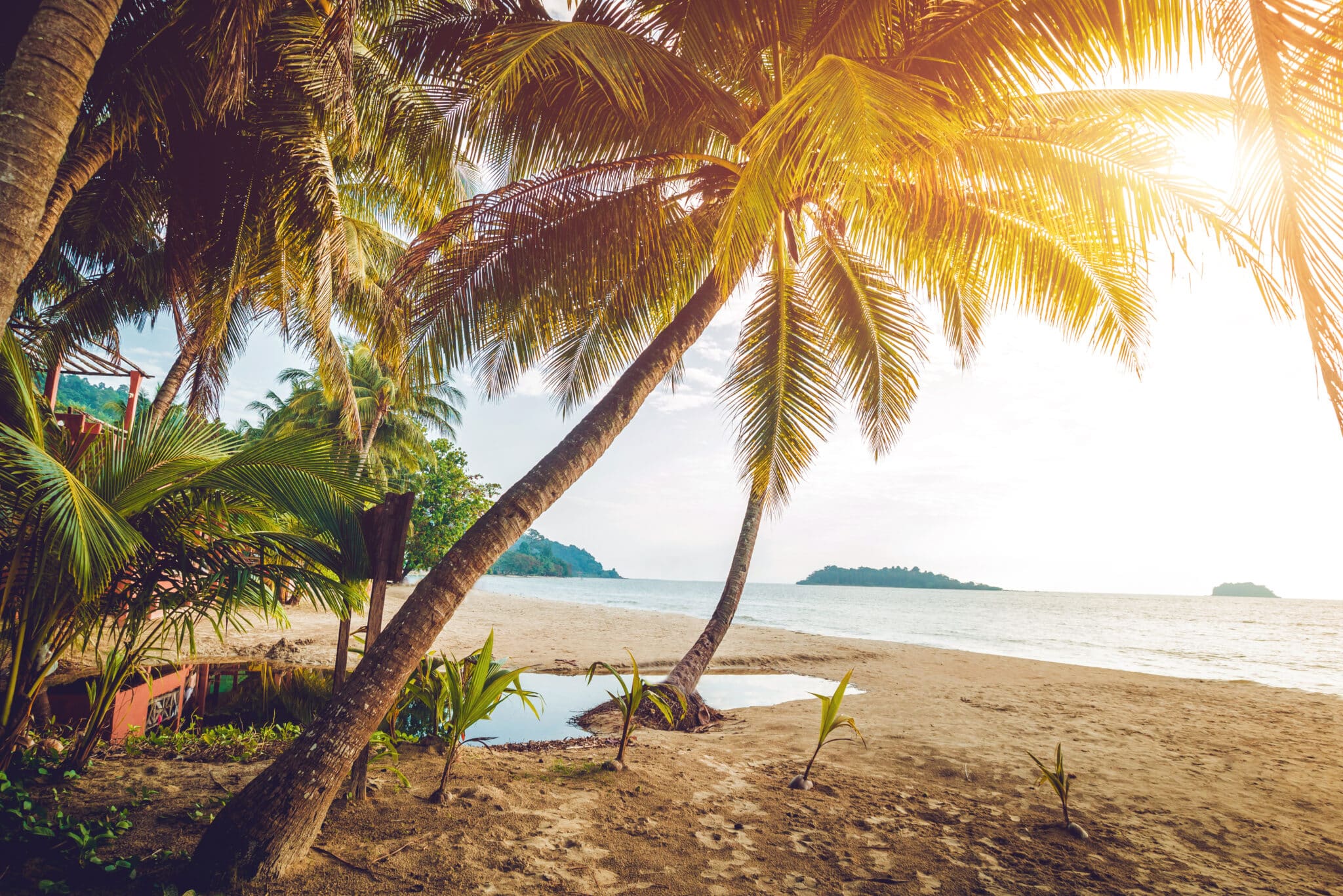 Beautiful tropical beach with palm trees. Daylight background