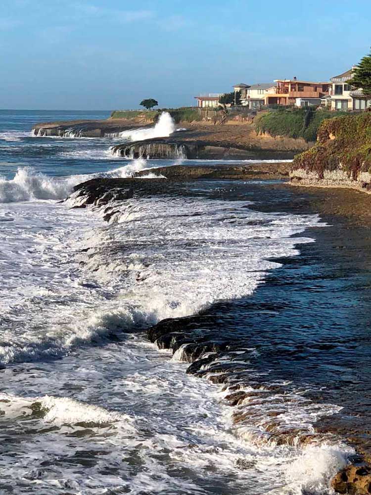 Villa-Maria-Coast-Line_cropped-and-straightened_750x1000px Villa-Maria-Coast-Line_cropped-and-straightened_750x1000px