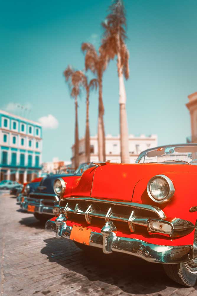 AdobeStock_274103503_1000px AdobeStock_274103503_1000px