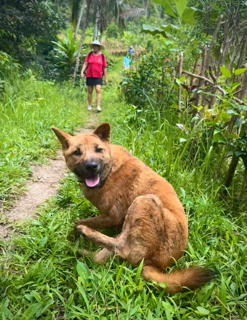 Our furry friend, Photo by Laura Davis.