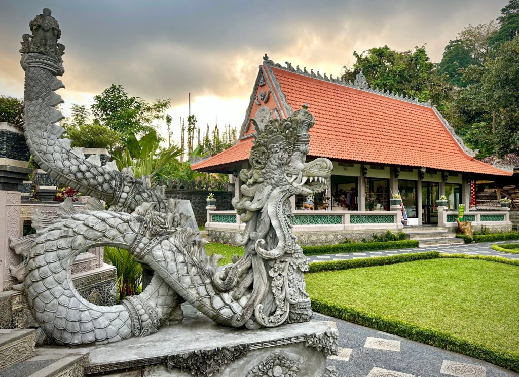 Dragon, photo by Laura Davis