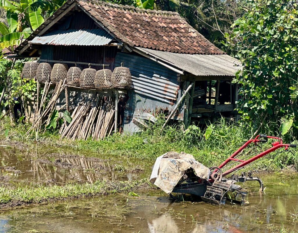 farm equipment and a shack for resting and shade, rooster cages hanging on the side