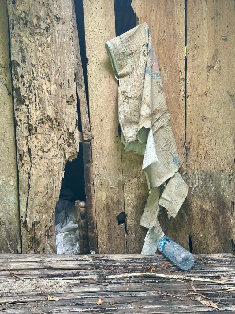 Textures. Photo by Laura Davis.