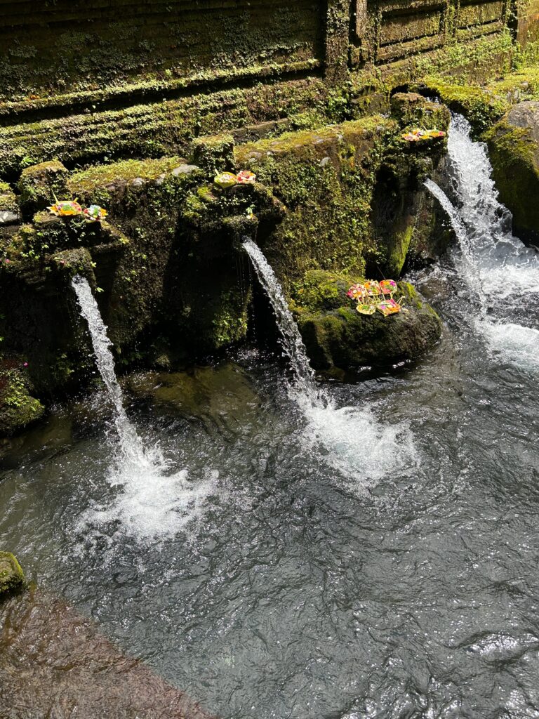 Healing, holy waters. Photo by Made Surya.
