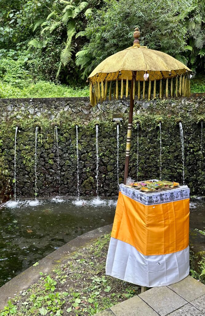Pool to bless three-month-old babies, photo by Laura Davis