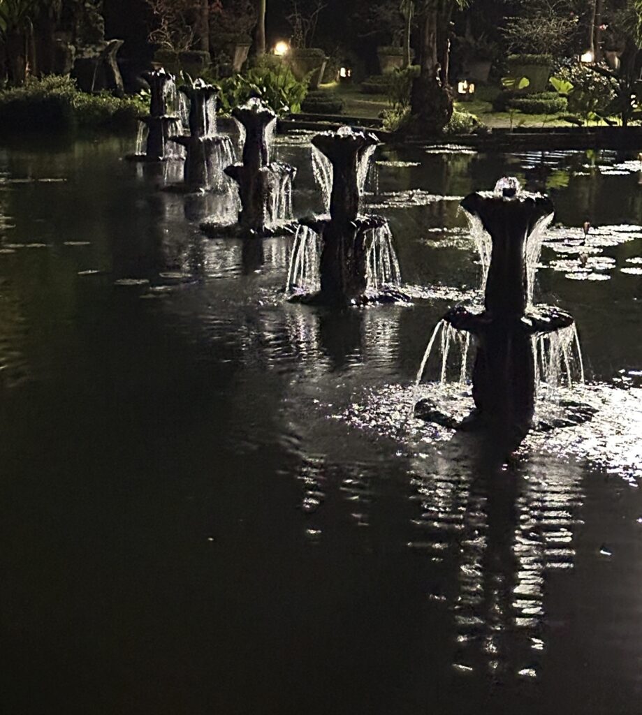 Fountains at night, photo by Laura Davis