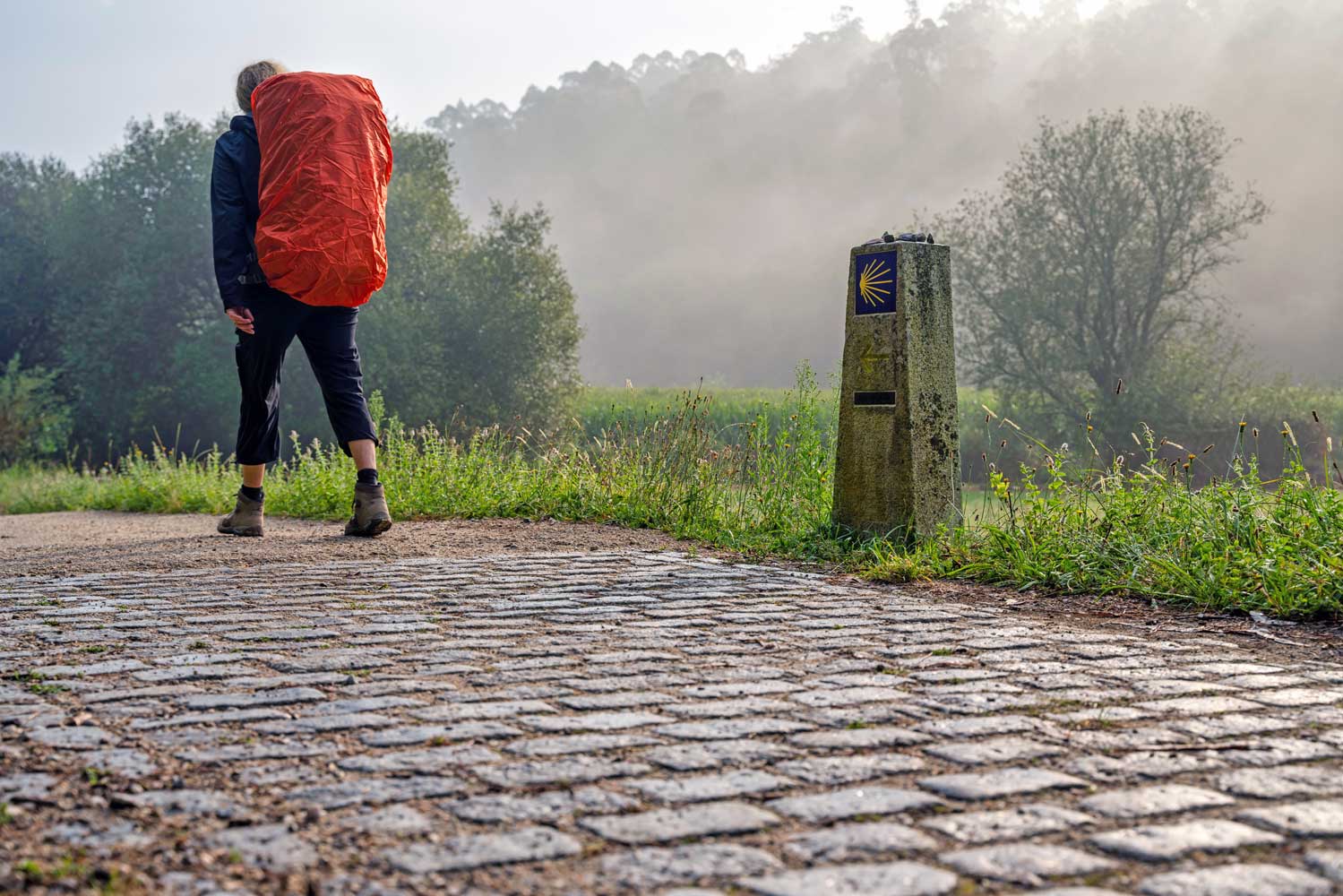 Walking the Camino de Santiago
