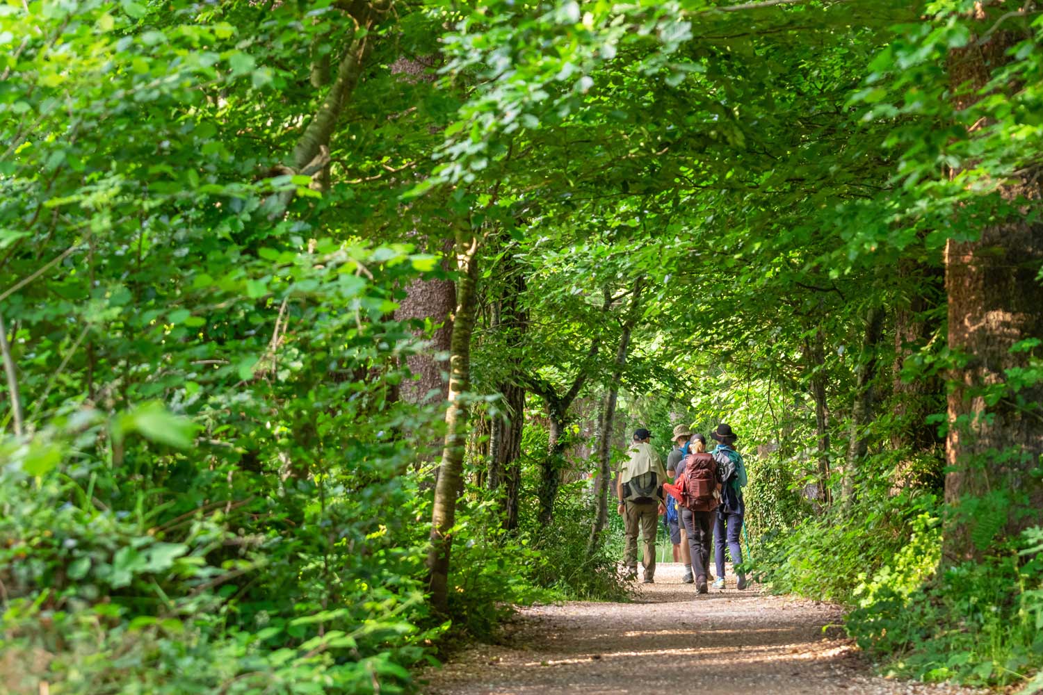 AdobeStock_510883221_1500x1000