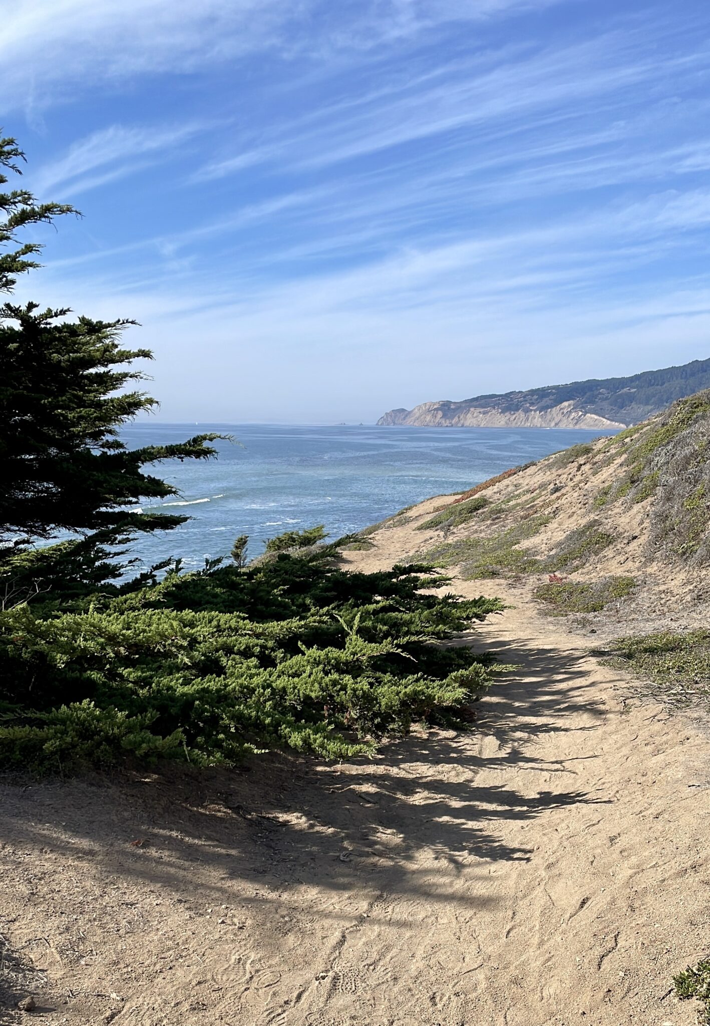 Commonweal_85234396-EFD9-444C-B4CA-EE047DB0A2AC