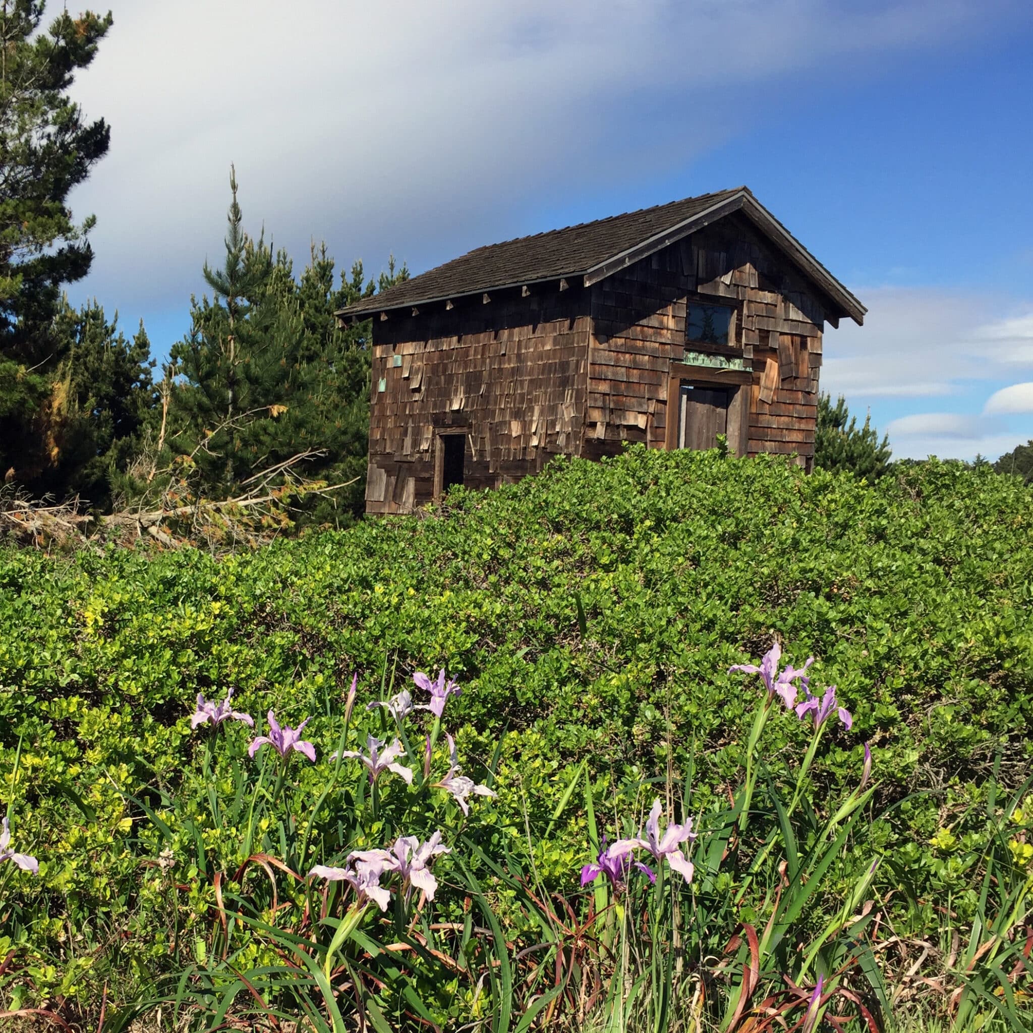 Commonweal_chapel-iris vertical
