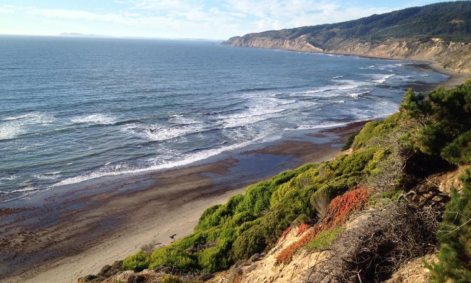 Commonweal_ocean with color renata 5x3 inches