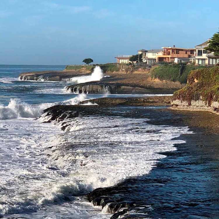 Villa-Maria-Coast-Line_cropped-and-straightened_750x750px