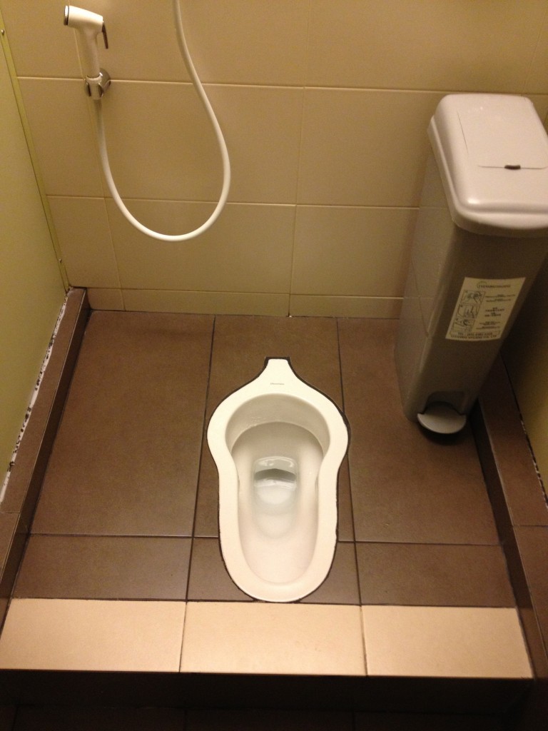 Chagi Airport, Shanghai - Squatting Toilet